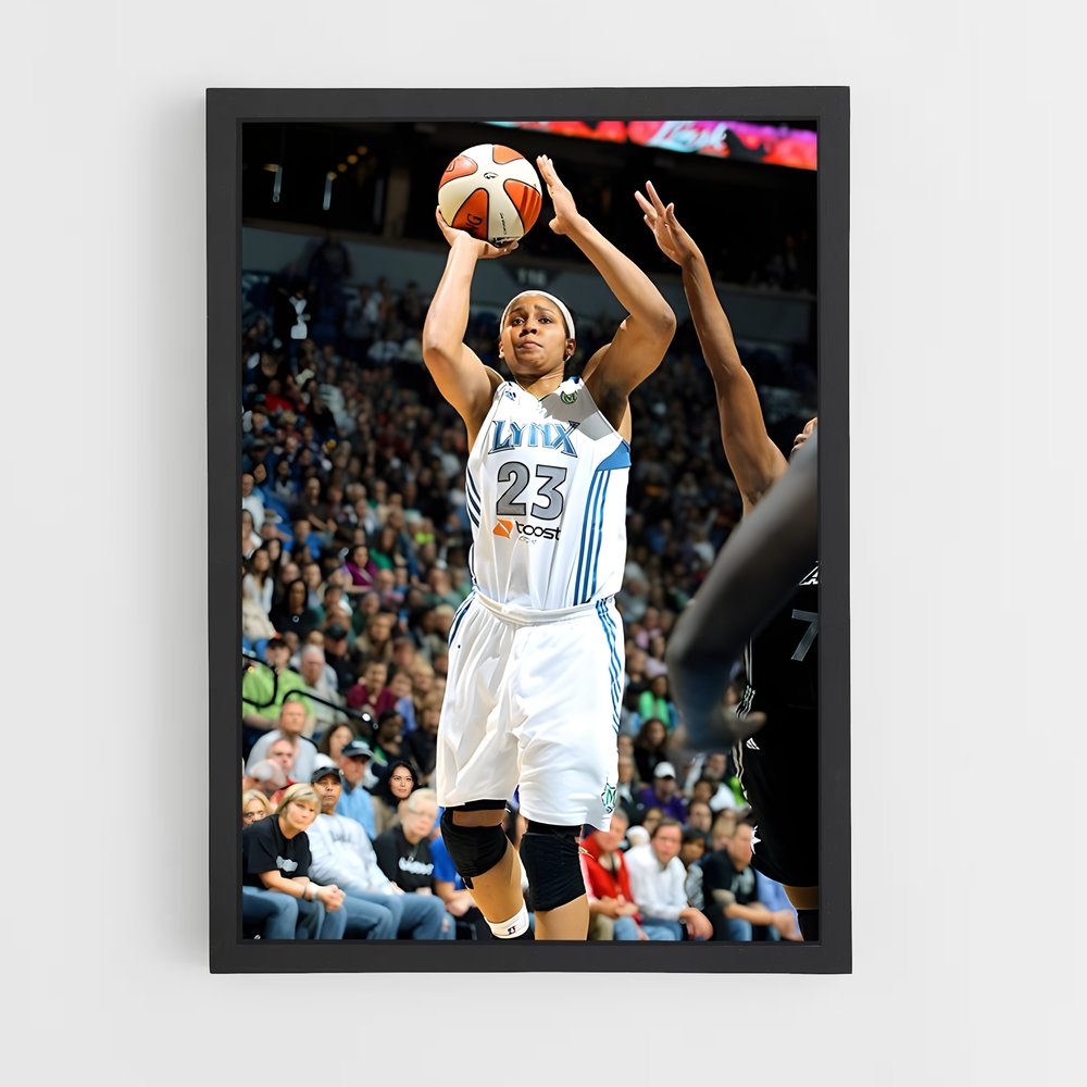 Poster Maya basketball (vue 2)